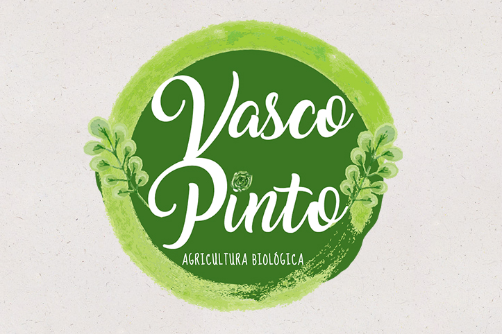 Vasco Pinto